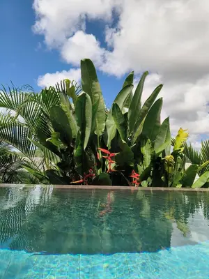 a pool in front of a bunch of plants at Sky Lofts Airport Phuket in Nai Yang Beach