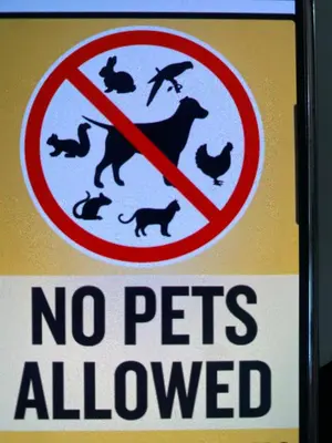a sign that says no pets allowed on a wall at Condo for rent Kata Beach in Kata Beach