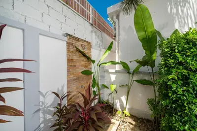 a garden with plants next to a white wall at Brand New 3 Bedroom Pool Villa 18 in Ban Saiyuan (1)