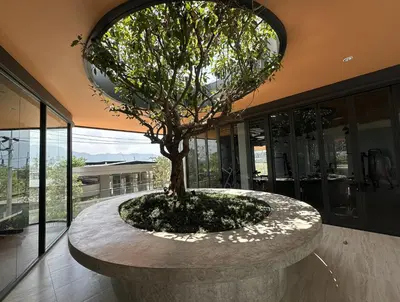 a tree in a stone bowl in a building at Bellevue Lagoon Phuket in Laguna Phuket