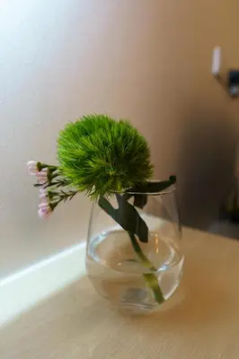 a green plant in a glass vase on a table at Dream 1 BdR Kamala Beach Free Parking WiFi Gym in Kathu