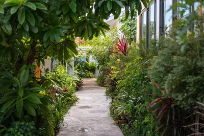 a garden path in a building with plants at \u666e\u5409\u5c9bYona\u8c6a\u534e\u578b\u56db\u5367\u6cf3\u6c60\u522b\u58851\u53f7 in Ban Bang La