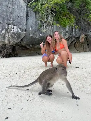 two women on the beach with a monkey on the beach at Tropical Vibes Mini Hostel in Phi Phi Don