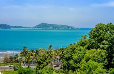 a view of the ocean and palm trees at A New Experience of Private Vacation and Work in Patong in Patong Beach