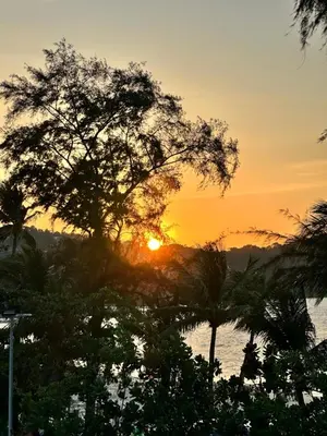 a sunset over the water with a tree at Sparta beachfront patong in Patong Beach