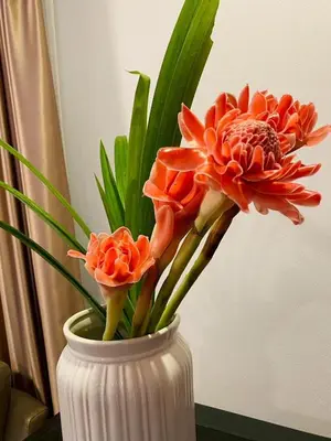 a white vase with two orange flowers in it at Cozy Space Kamala in Kamala Beach