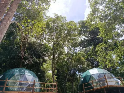 two green domes with trees in the background at NATUR - Krabi Campsite Glamping & Camping in Krabi town