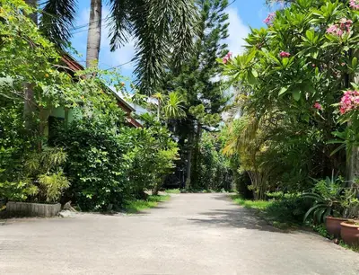 a dirt road with trees and flowers on it at Village Beach House III in Patong Beach