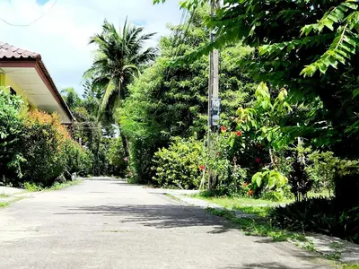 a driveway with trees and a house and a street at Village Beach House III in Patong Beach