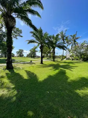 a group of palm trees in a park at Allamanda 3 Laguna Phuket by Star in Laguna Phuket