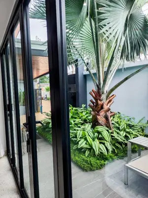 a sliding glass door with a palm tree in a yard at Rawai Villa in Rawai Beach