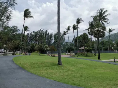 a park with palm trees and benches and a path at 8 Floor - Mountain view Studio room at TBHR near Kata beach in Kata Beach