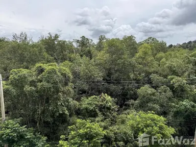 a forest filled with lots of trees with power lines at VE1 Halo 2-bedroom ВатСaп66935B2I976 in Nai Yang Beach