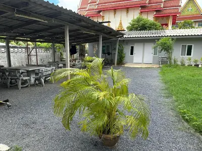 a potted palm tree sitting under a patio at Bestin Karon 2 in Karon Beach