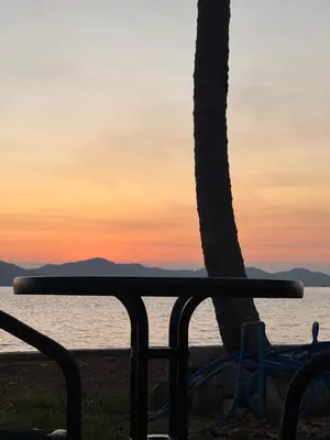 a bench next to a palm tree and the ocean at Baan Rattana in Ko Yao Noi