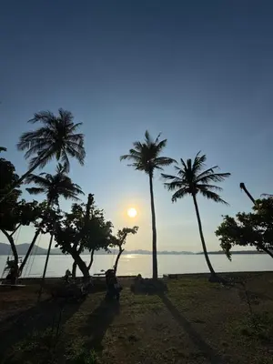 a group of palm trees on the beach at sunset at Baan Rattana in Ko Yao Noi