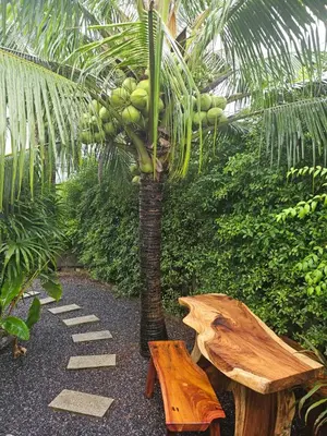 a palm tree and a stepping stone path next to a palm tree at Tropical Hideaway Close to the Beach in Ban Thalat Choeng Thale