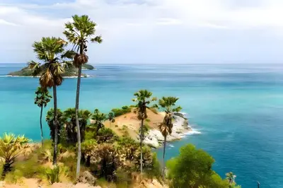 a view of a beach with palm trees and the ocean at xx GO INN Patong Beach Phuket - โกอินน์ ป่าตอง in Patong Beach