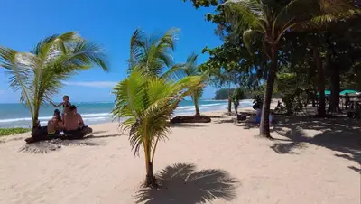 a palm tree on a sandy beach with the ocean at Title HALO 1 - Modern 1BR Pool View Walk to Nai Yang Beach in Nai Yang Beach