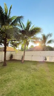 two palm trees in a yard next to a fence at Phuket Cozy Villa Pasak4 Green Garden BangTao in Laguna Phuket