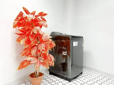a plant in a pot next to a toaster at Modern House in Phuket Town in Ban Na Khua