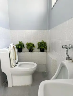a bathroom with a toilet and a sink and potted plants at Beanstay hostel in Phuket Town
