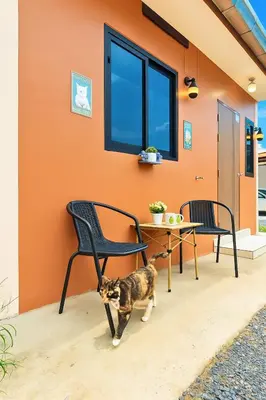 a cat standing next to two chairs and a table at Dalbit Heaven #Patong Beach 3 min walk Super Private House 2BR in Patong Beach