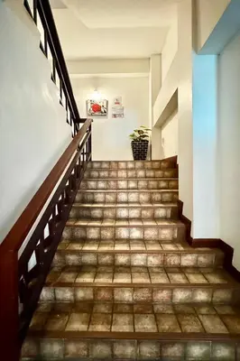 a staircase in a building with a potted plant at A&N Residence Patong in Patong Beach