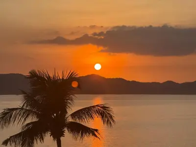 a palm tree in front of a sunset at The Good View Koh Yao Noi in Ko Yao Noi