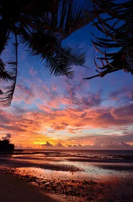a sunset on a beach with a palm tree at PapaCrab Boutique Guesthouse in Kamala Beach