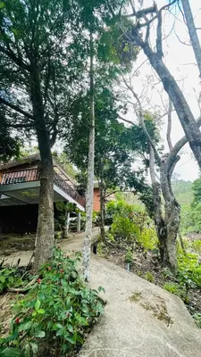 a group of trees with a building in the background at บ้านสกุลลี-House of Lee in Ban Huai Sai