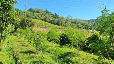 a hillside with trees and a train in the distance at Meesaeng Homestay in Thalang