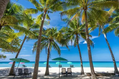 a group of palm trees on a beach with chairs and umbrellas at 2 BR Pool View in Wellness Residence near Beach P503-4 in Kamala Beach