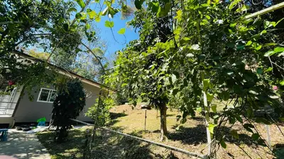 a house with a tree in the yard at House Party of Lee in Ban Huai Sai