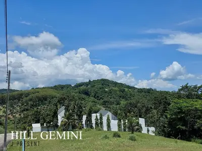 a group of trees in front of a mountain at Wild Seaview Swimming pool Villa118 in Phuket Town