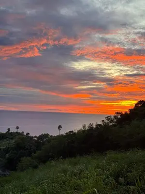 a sunset over the ocean with trees in the foreground at Bell Seaside Residence in Rawai Beach