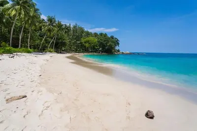 a beach with a group of palm trees and the ocean at Beach and Party in Patong with 1BR Apt - Viva B402 in Patong Beach