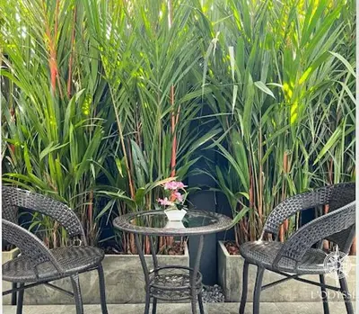 a table and two chairs and a table and some plants at V292 Central Rawai Private Pool Villa with Amenities in Rawai Beach