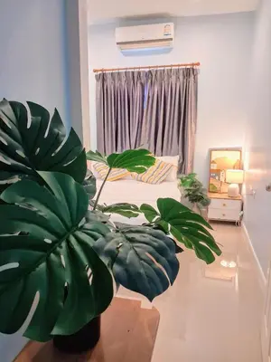 a bedroom with a bed and a potted plant at Phuket sun n soul House in Ban Tha Rua