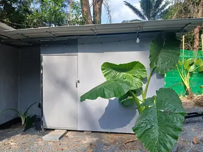 a garage door with a plant in front of it at Kalaland in Patong Beach