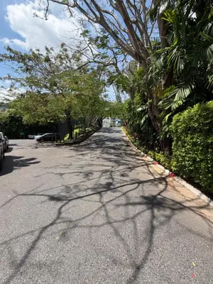 a tree lined street with a road with cars at The base up town phuket