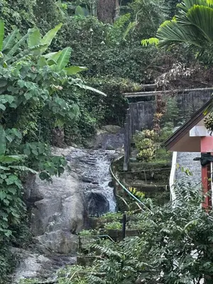 a stream in the middle of a forest at Kamala Zen house 2BR 15 min walk to beach in Kamala Beach