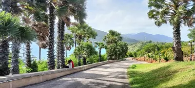 a road with palm trees and mountains in the background at The Ark Condomisunset in Ban Karon