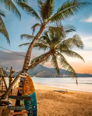 a surfboard on a beach with a palm tree at GO INN Patong - โกอินน์ ป่าตอง in Patong Beach
