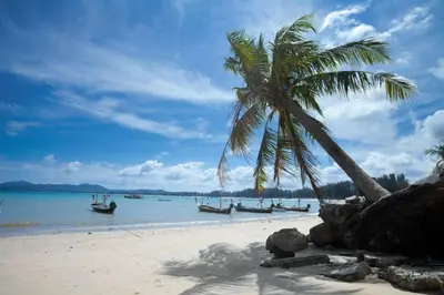 a palm tree and boats on a beach at Large 1 Bedroom Apt, Sleeps 4, close to beach - RM 4 in Ban Lum Fuang