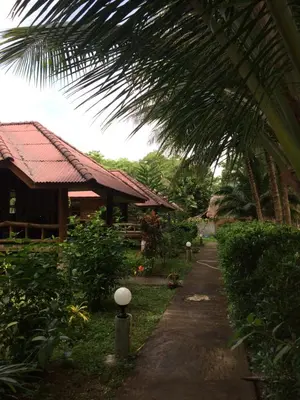 a path in front of a house with a palm tree at Namtok Bungalows in Ko Yao Noi