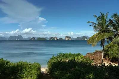 a beach with a palm tree and a view of the ocean at Six Senses Yao Noi in Ko Yao Noi