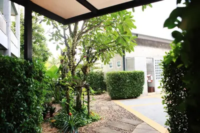 a small tree in a yard next to a building at The Malika Hotel - SHA Extra Plus in Phuket Town