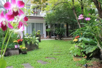a garden with flowers and plants in front of a house at Eat n Sleep in Phuket Town