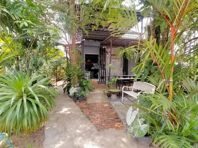 a garden with trees and plants and a building at Nemo 2 Resort in Ao Nang Beach